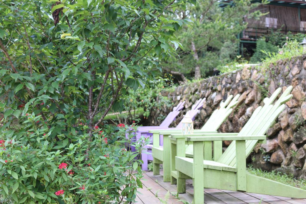 Bear Meets Moose Homestay B&B Puli Exterior foto